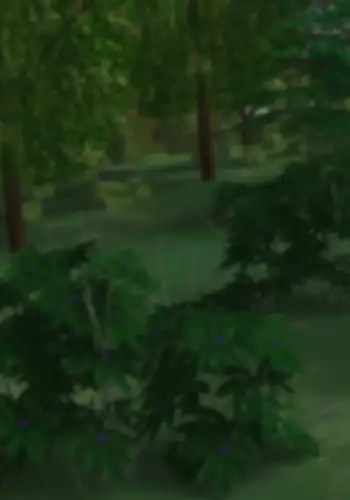 Hitchhike Shiteita Onnanoko to Iku Sakizaki de Sex Zanmai no Tabi!