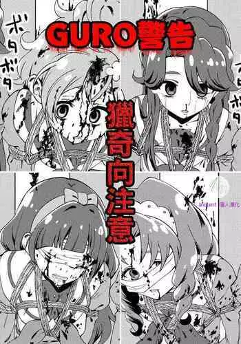 Princess Precure Execution