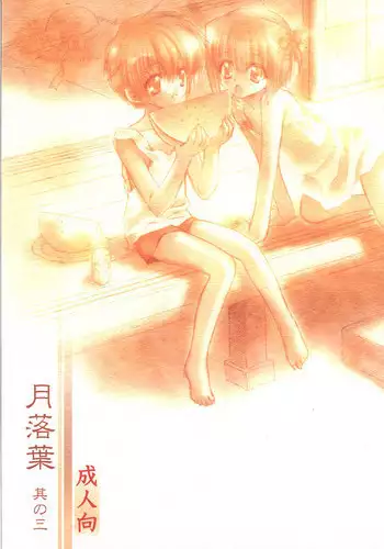 (C62) [Carnelian] Tsuki Rakuyou Sono San (Kao no nai Tsuki [Moonlight Lady])