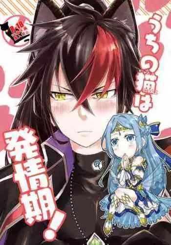 Uchi no Nyanko wa Hatsujouki!