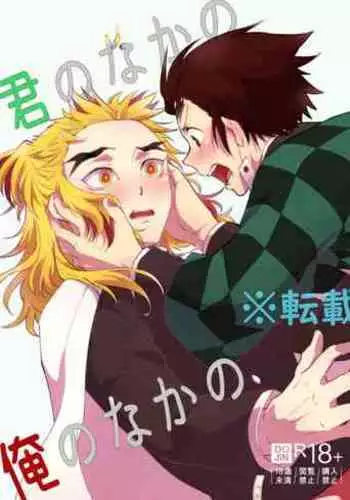 Kimi no Naka no Ore no Naka no