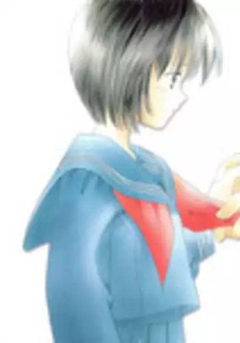 [Nagareboshi Hikaru] Tokubetsu na Hi