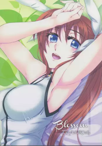 (C82) [ROCK'inChair (Jinnai)] Blossom (Mahou Shoujo Lyrical Nanoha)