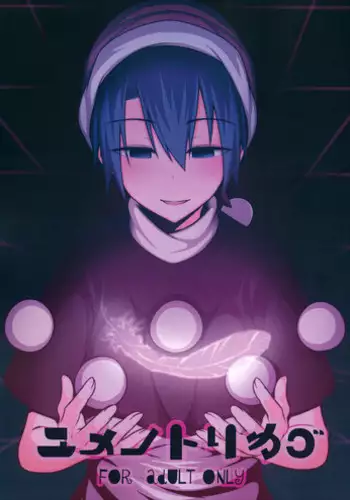 (Meikasai 10) [Lapis Lazuli Kouseki (Kuroha Rapid)] Yume no Torikago (Touhou Project)