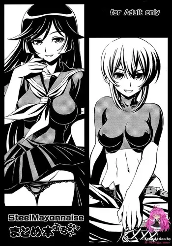 Steel Mayonnaise Matome hon Petit?