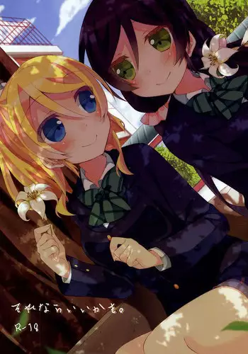 (Bokura no Love Live! 10) [Genmaicha (Mogu)] Sorenara Iikamo. (Love Live!)